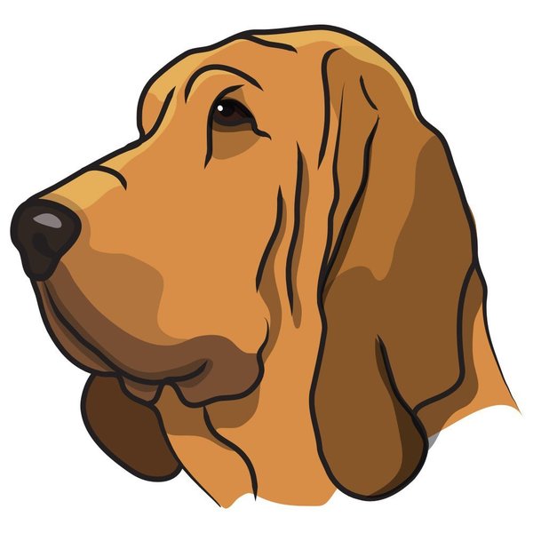 Signmission Bloodhound Dog Decal, Dog Lover Decor Vinyl Sticker D-12-Bloodhound